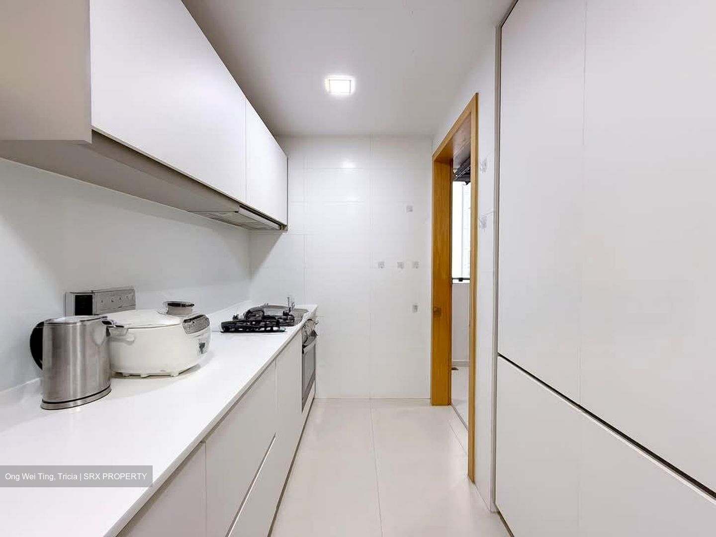 H2O Residences (D28), Condominium #554147831